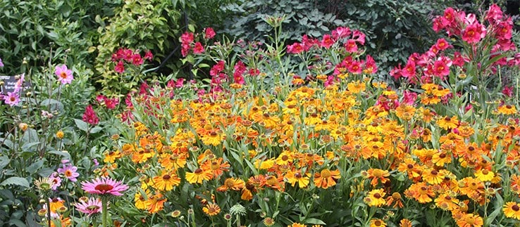 Early spring interest