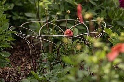 Shop plant support