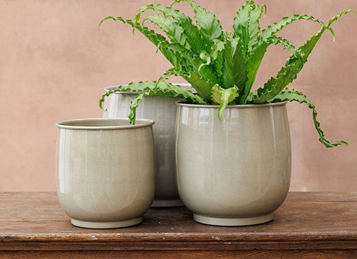 Indoor pots