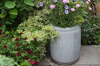 Shop pots & containers