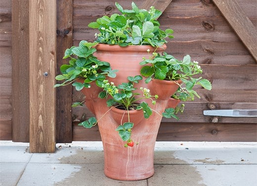 Outdoor pots