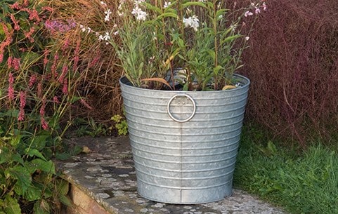 Outdoor pots