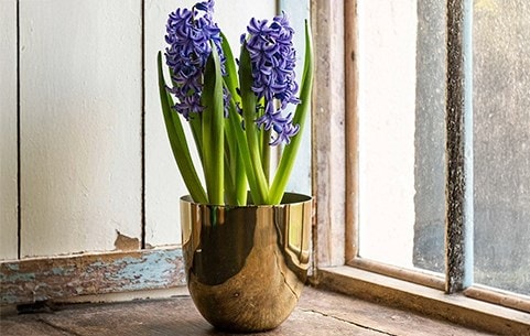 Indoor plant pots