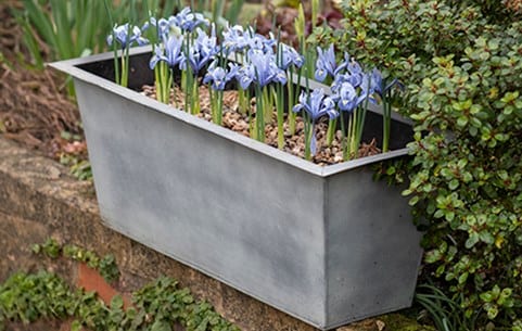 Window boxes & troughs