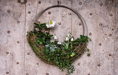 Hanging baskets