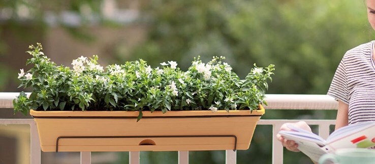 Environmentally friendly pots
