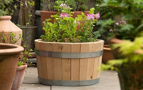 Wood & rattan