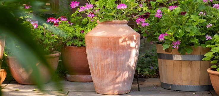 Statement pots