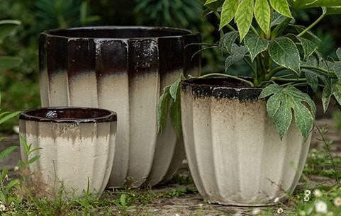 New pots