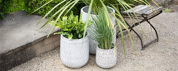 Outdoor pots