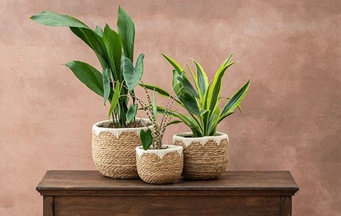 Jute & seagrass