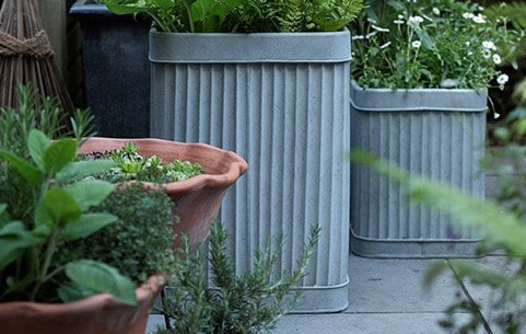 Shop all pots