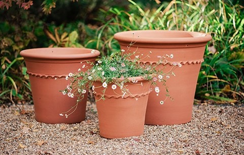 Winter bedding clearance