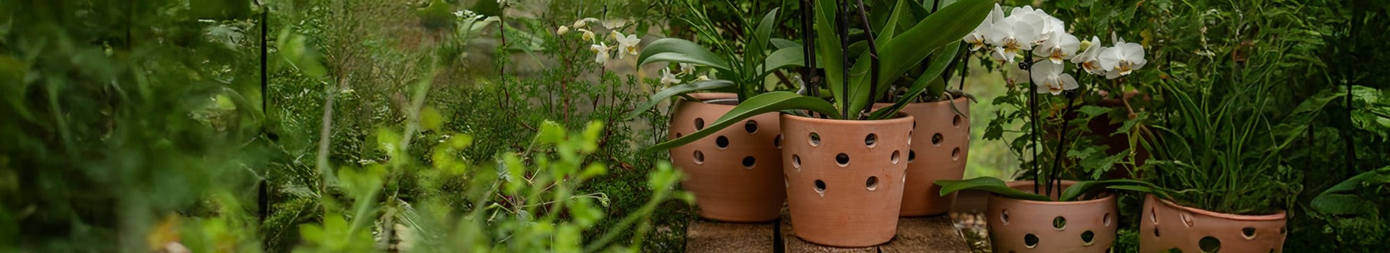 POTS & CONTAINERS