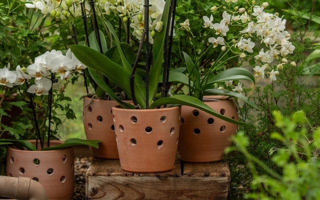 POTS & CONTAINERS
