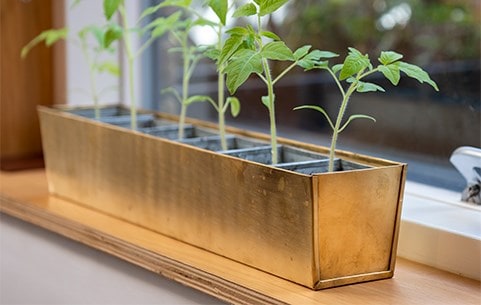 Potting & propagating