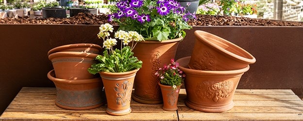 Celebrating 50 Years of Whichford Pottery