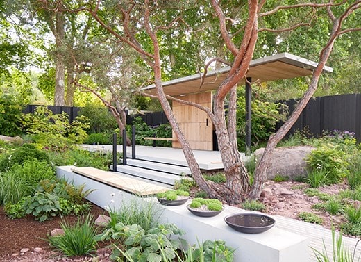 The Asthma and Lung UK Breathing Space Garden
