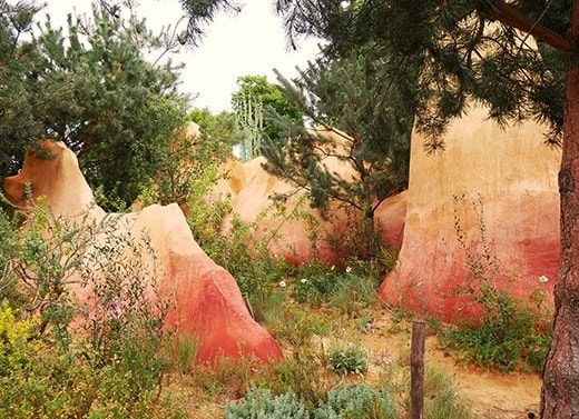 The Project Giving Back Garden