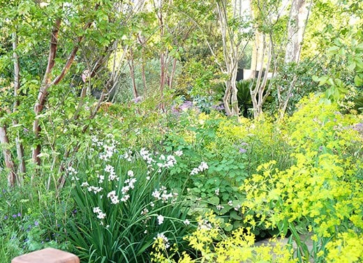 The Tate Britain Garden