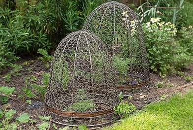 Cloches