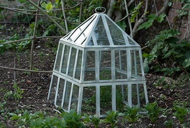 Coldframes & growhouses