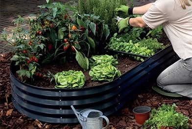 Raised beds & growbags