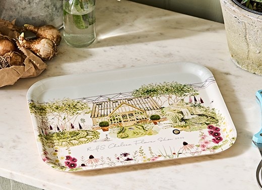 Sophie Allport