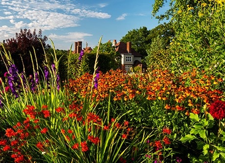 All plants & bulbs