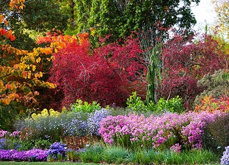 Autumn sale