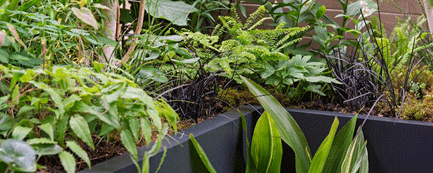 Container garden highlights