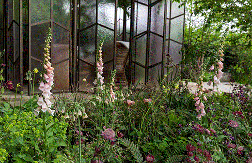 Glasshouse garden