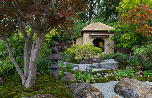 Cha No Niwa – Japanese tea garden