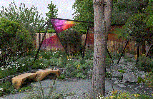 The King’s trust garden: Seeding success