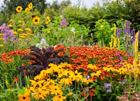 Early summer colour