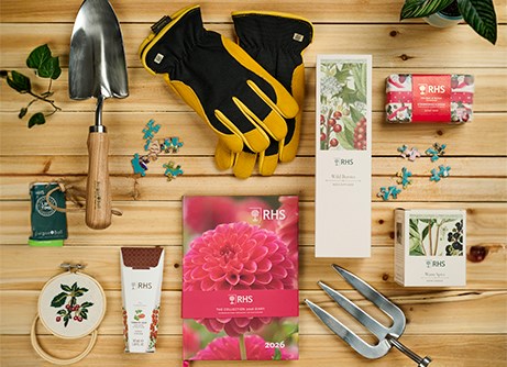 RHS curated gifts