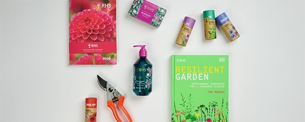 Shop trending favourites