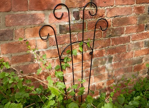 Screening & Trellis'