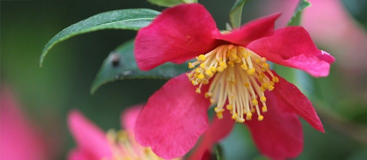 Find out what's looking good in November