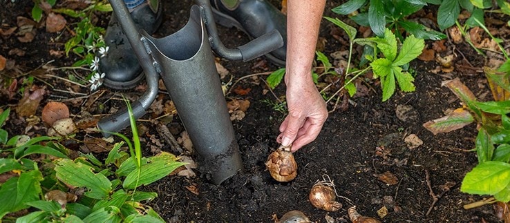 Planting kits