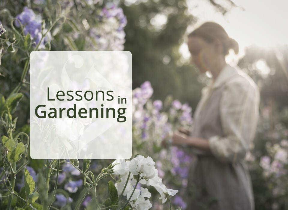 Lessons in gardening