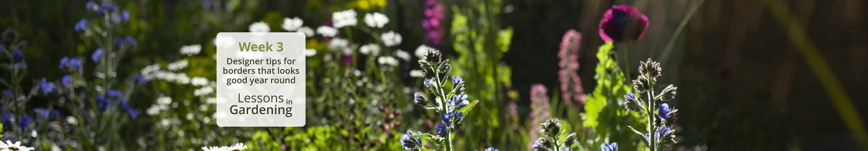 Lessons in gardening