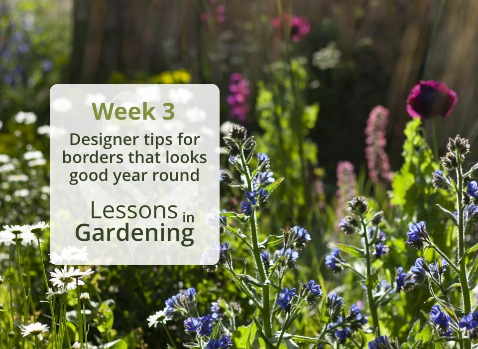 Lessons in gardening