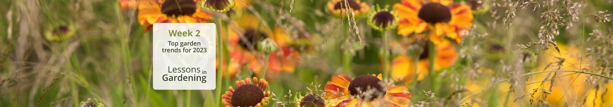 Lessons in gardening