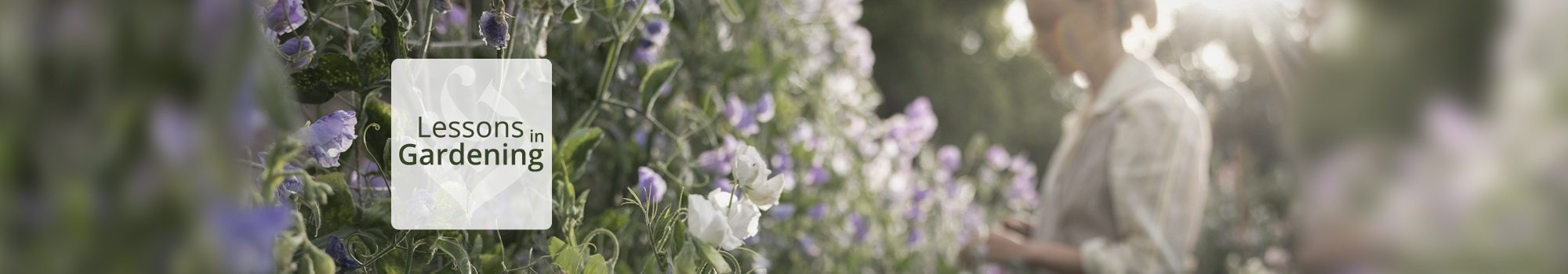 Lessons in gardening