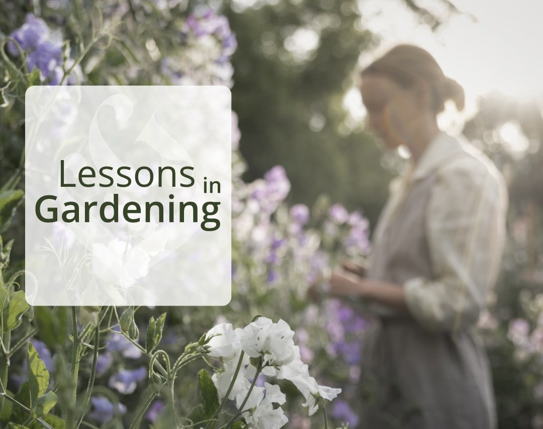 Lessons in gardening