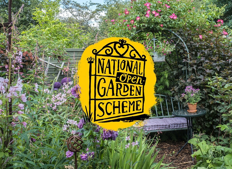 National Garden Scheme: Foxglove Cottage - Crocus