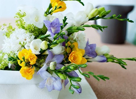 Spring-planting bulbs