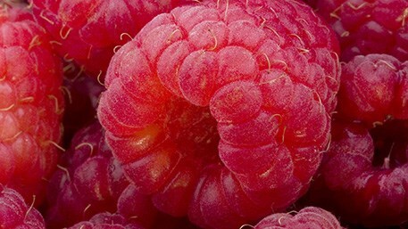 Raspberries