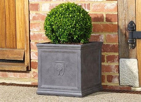 Buy garden pots and containers | RHS Plants